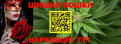 крисы Краснознаменск