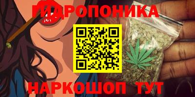 крисы Краснознаменск