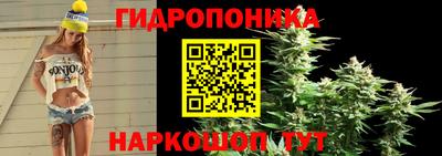 крисы Краснознаменск