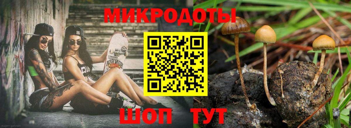Зима  Псилоцибиновые грибы мухоморы  Галлюциногенные грибы мицелий  Вход с VPN 